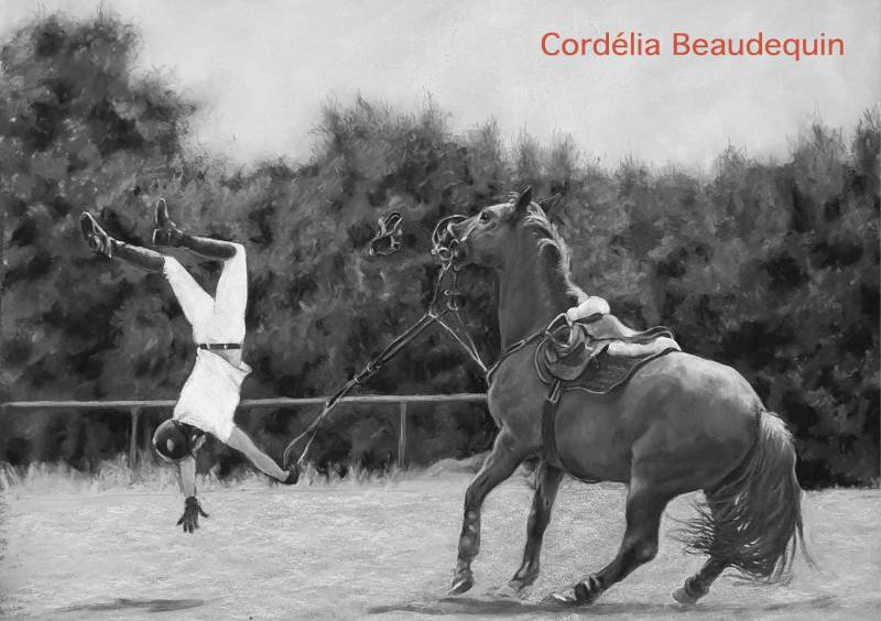 Cours Pastel Sec & Fusain