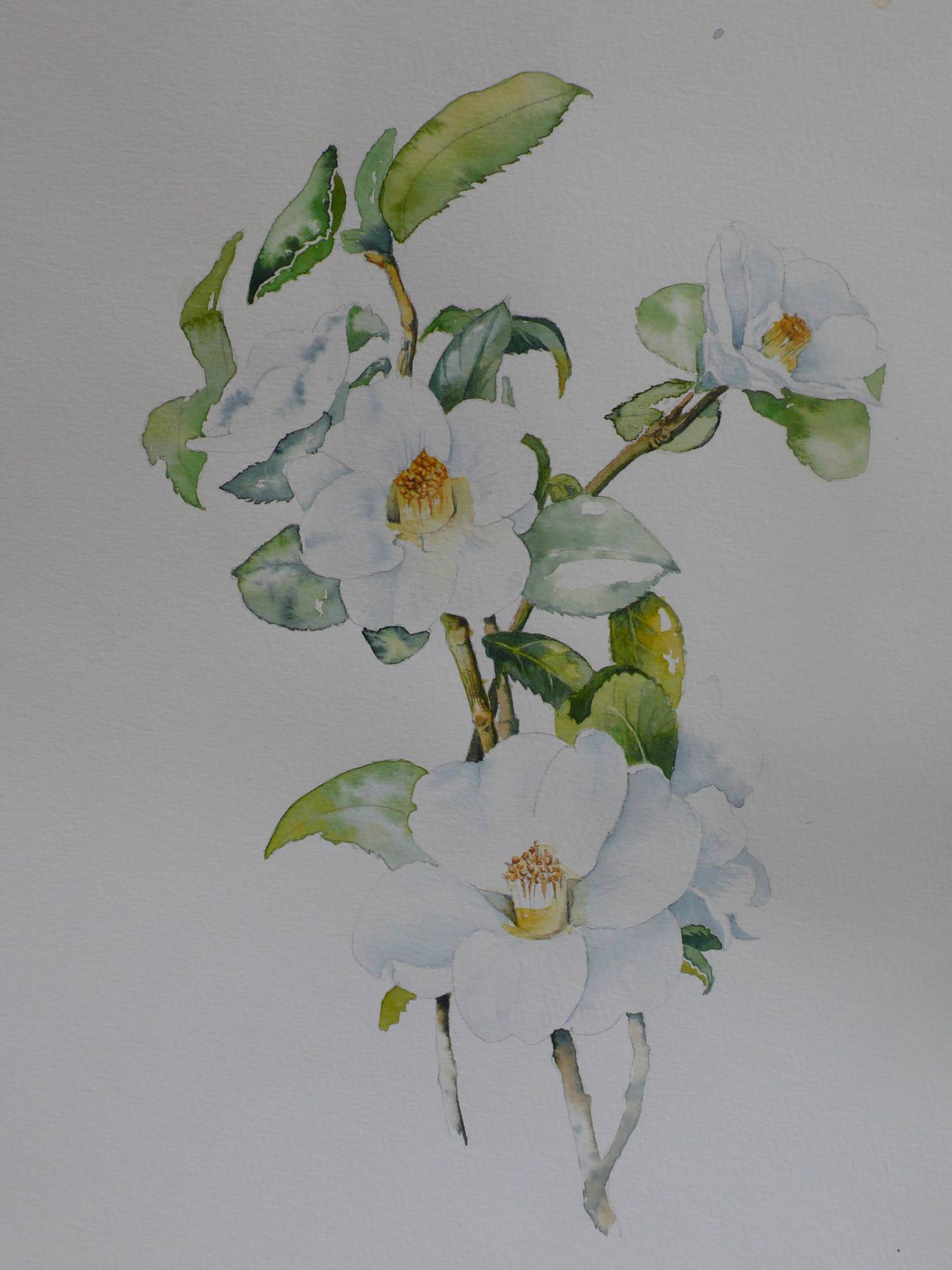 cours d'aquarelle à paris