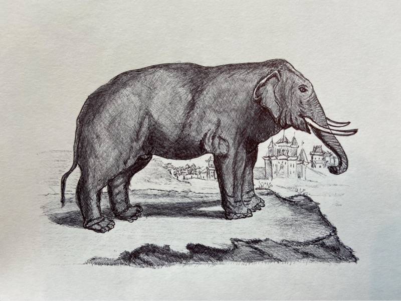 Elephant