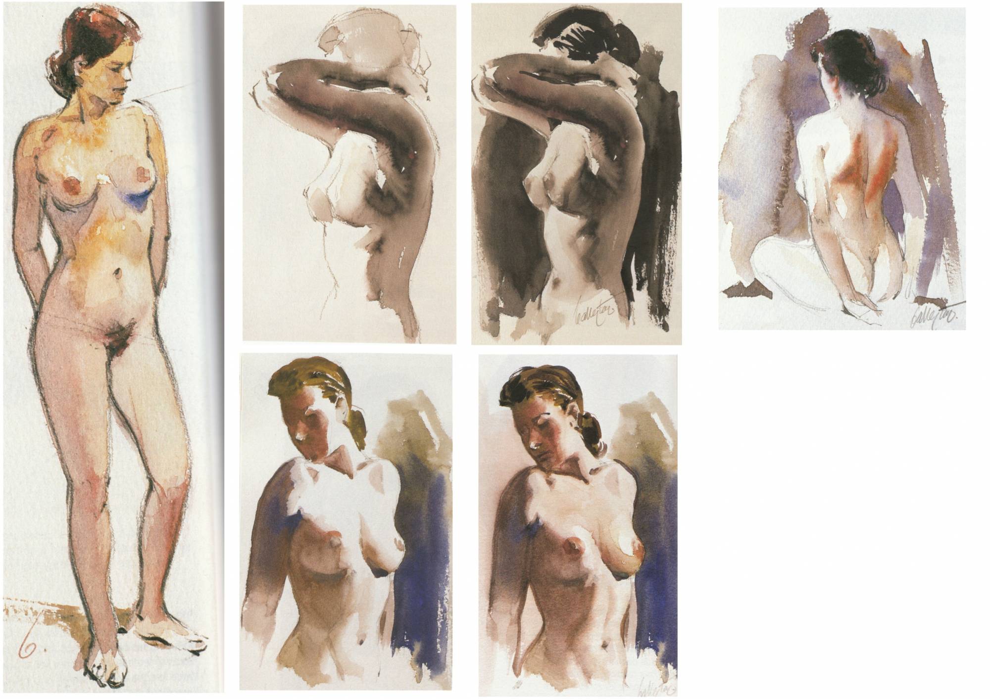 cours de dessin aquarelle paris