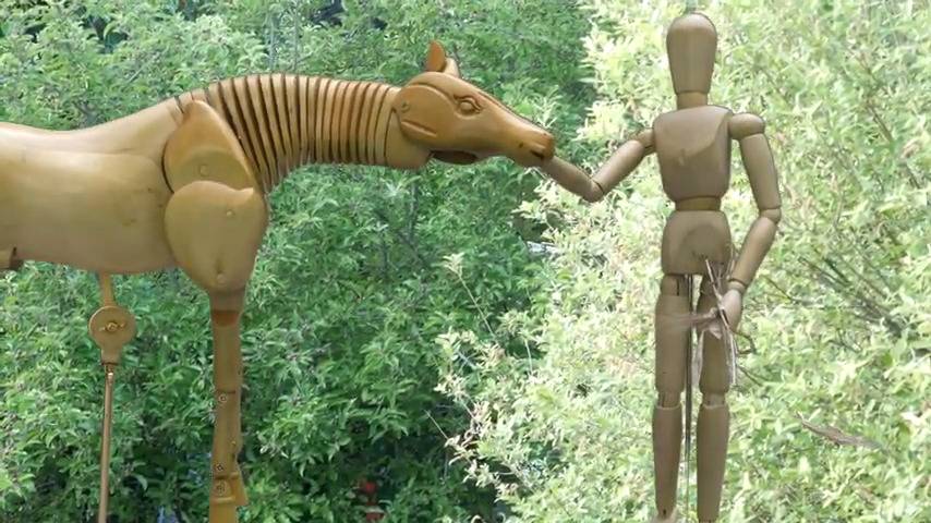 Animation Stop Motion