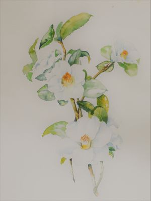 Notre zone d'activité pour ce service S'inscrire dans un cours de dessin pastel